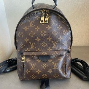 LOUIS VUITTON PM PALMS SPRINGS BACKPACK